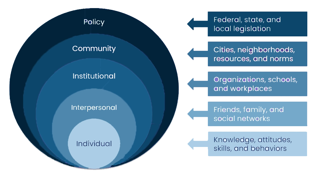 Education Consultants Socio-Ecological Framework